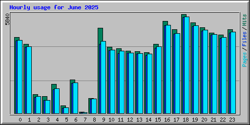 Hourly usage for June 2025
