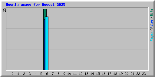 Hourly usage for August 2025