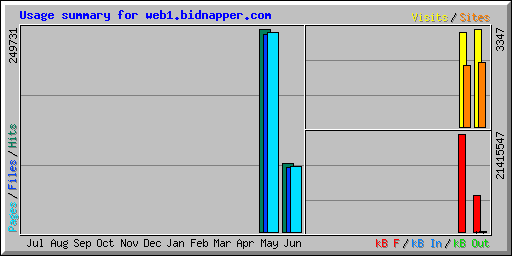 Usage summary for web1.bidnapper.com